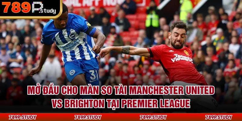 Mở đầu cho màn so tài Manchester United vs Brighton tại Premier League